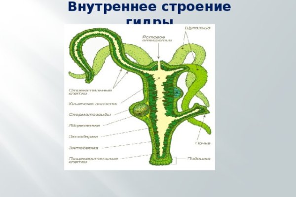 Kraken ссылка tor официальный сайт