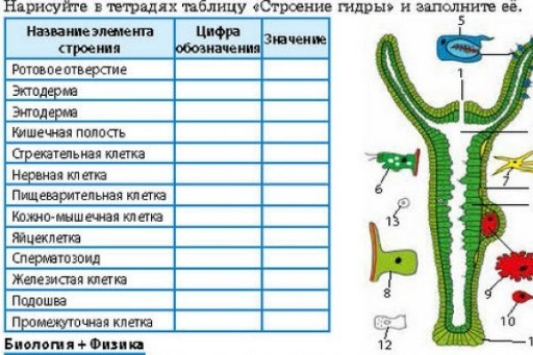 Кракен маркетплейс в питере