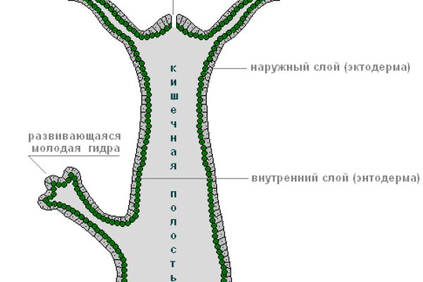 Актуальная ссылка на кракен в тор 2krnmarket